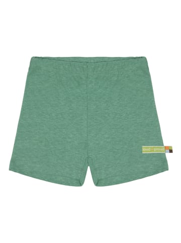 loud + proud Shorts in Grün