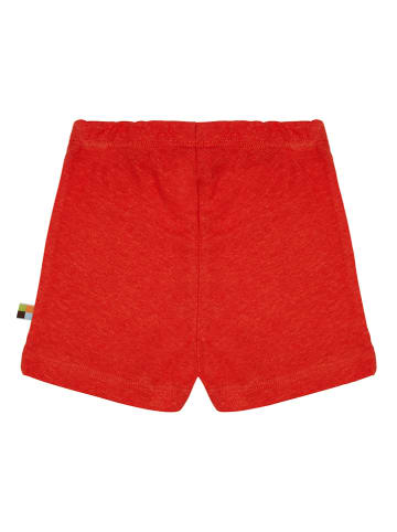 loud + proud Shorts in Rot