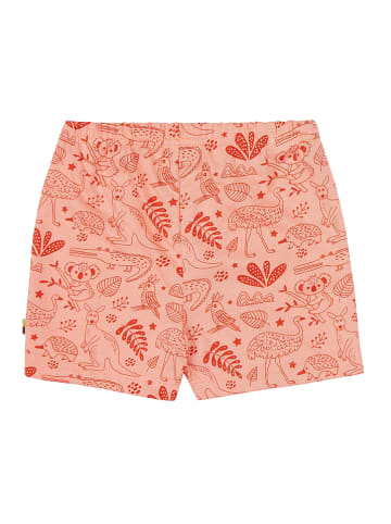 loud + proud Shorts in Apricot