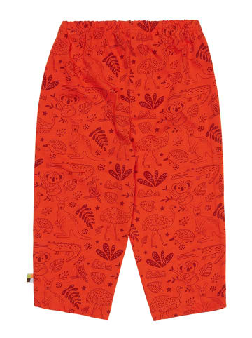 loud + proud Spodnie w kolorze czerwonym