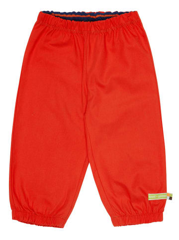 loud + proud Regenbroek rood