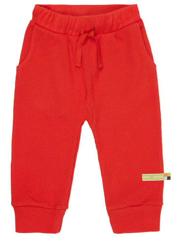 loud + proud Sweatbroek rood