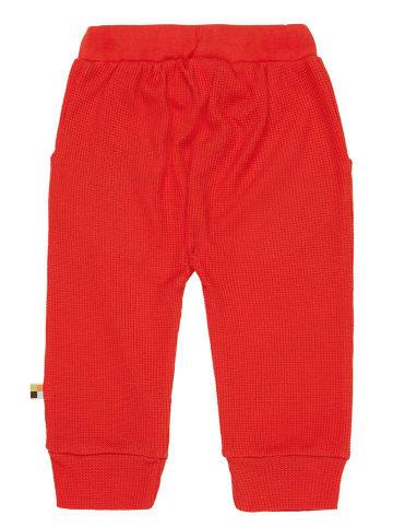 loud + proud Sweatbroek rood