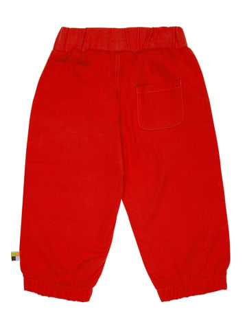 loud + proud Spodnie dresowe w kolorze czerwonym