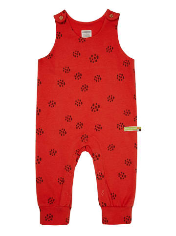 loud + proud Pakje rood