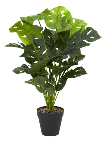 Garden Spirit Sztuczna roślina w kolorze zielonym - 14,5 x 80 cm