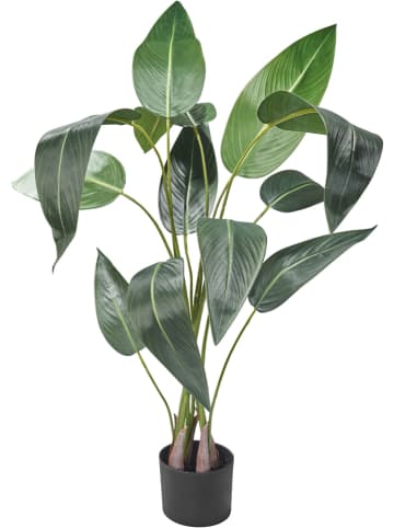 AMARE Kunstpflanze in Grün - (H)130 cm