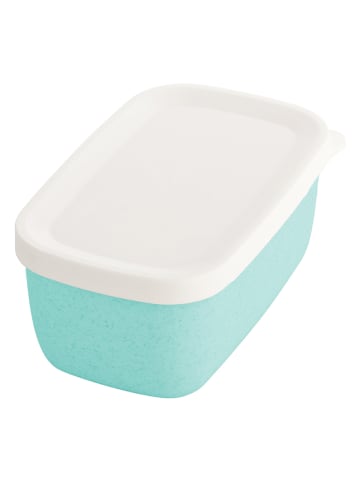 koziol Frischhaltedose "Candy S" in Türkis - (B)12,4 x (H)5,3 x (T)8 cm