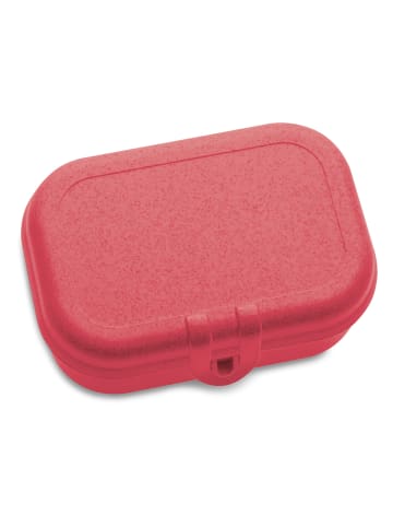 Koziol Lunchbox "Pascal S" koraalrood - (B)15 x (H)6 x (D)11 cm