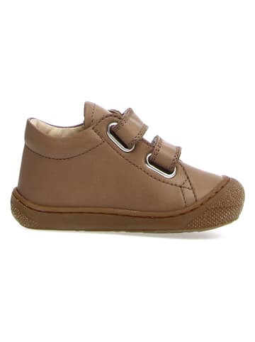 Naturino Leren loopleerschoenen "Cocoon" taupe