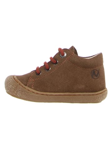 Naturino Leren sneakers "Coco" bruin