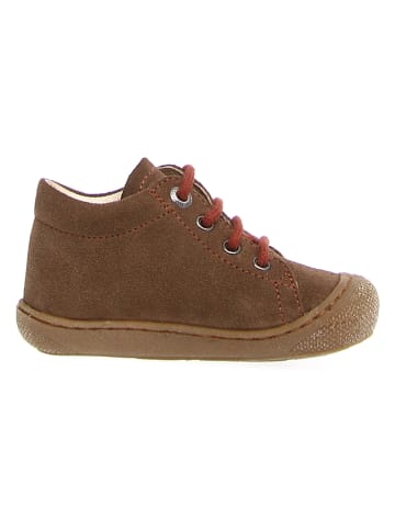 Naturino Leren sneakers "Coco" bruin