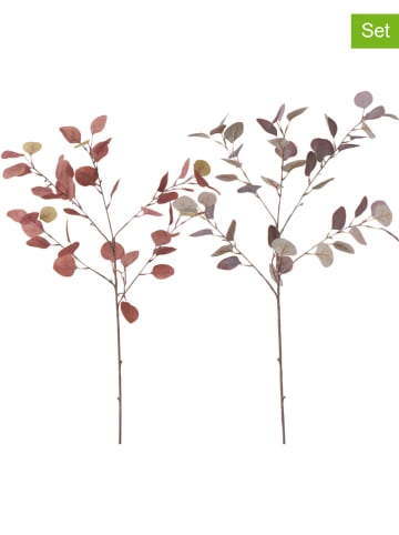 Boltze 2-delige set: decoratieve takken "Eucalyptus" rood/paars - (B)25 x (H)91 cm