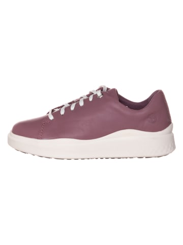 Timberland Skórzane sneakersy "Nite Flex" w kolorze fioletowym