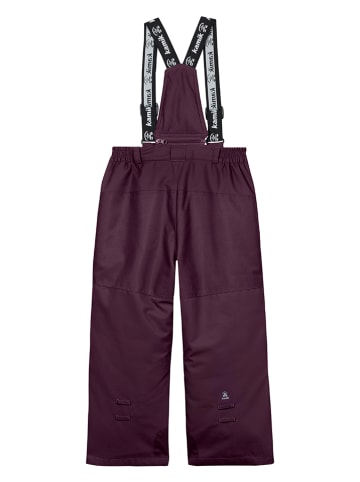 Kamik Ski-/ Snowboardhose "Regan" in Pflaume