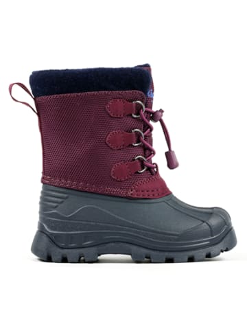 Richter Shoes Winterstiefel in Lila