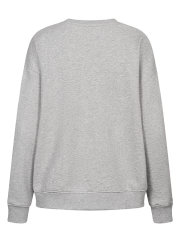 Derbe Sweatshirt "Kluge" in Grau