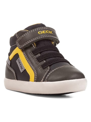 Geox Sneakers "Gisli" in Dunkelgrün