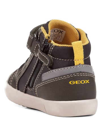 Geox Sneakers "Gisli" in Dunkelgrün