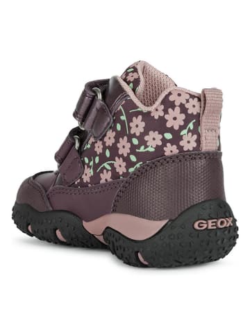 Geox Sneakers "Baltic" paars