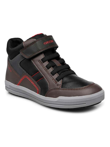 Geox Sneakers "Arzach" in Braun
