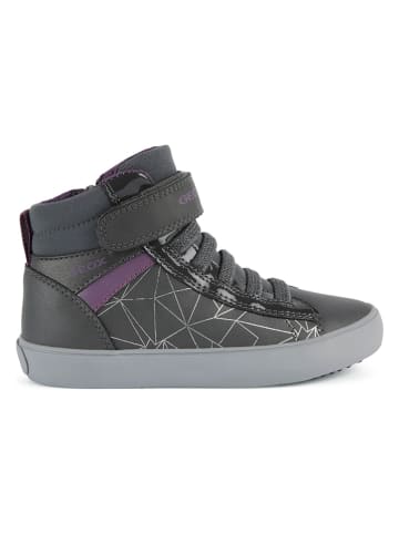 Geox Sneakers "Gisli" in Grau