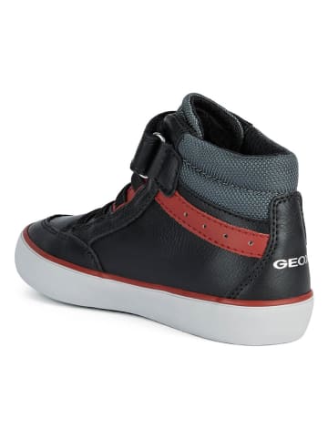 Geox Sneakers "Gisli" in Schwarz