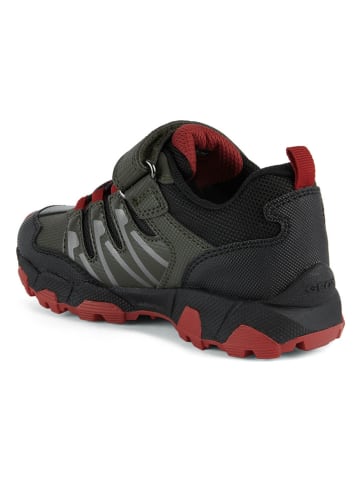 Geox Trekkingschuhe "Magnetar" in Schwarz