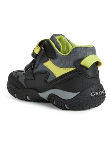 Geox Sneakers "Baltic" in Schwarz