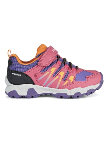 Geox Trekkingschuhe "Magnetar" in Pink