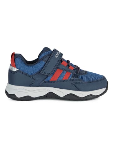 Geox Sneakers "Calco" in Blau