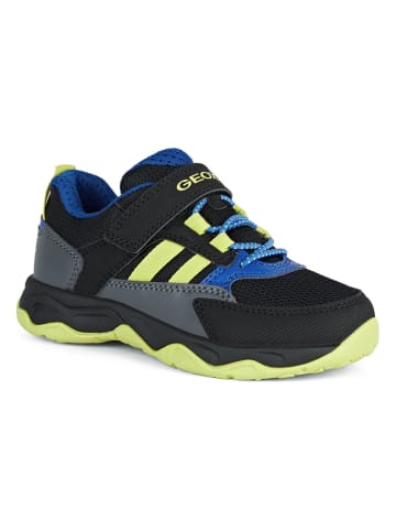 Geox Sneakers "Calco" in Schwarz/ Grau