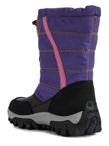 Geox Winterstiefel "Himalaya" in Lila