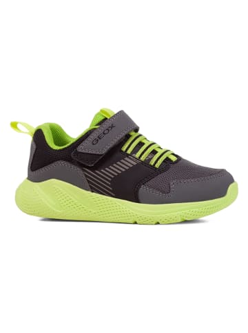 Geox Sneakersy "Sprinttye" w kolorze zielonym