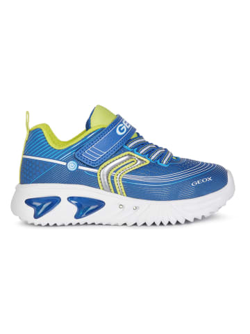 Geox Sneakers "Assister" in Blau