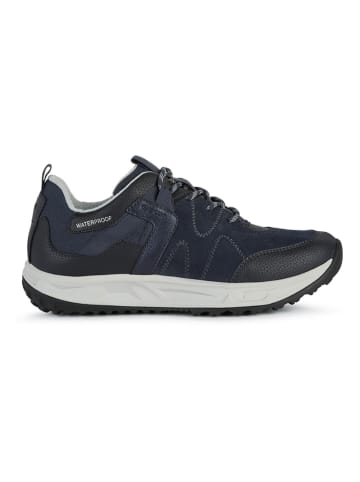 Geox Sneakers "Delray" blauw