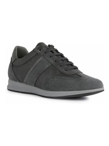 Geox Sneakers "Avery" in Grau