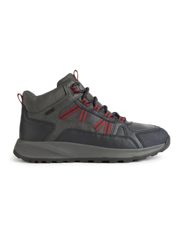 Geox Sneakers "Terrestre" in Dunkelblau/ Grau