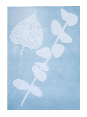 moses. Sonnendruck-Papier in Blau - DIN A4
