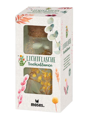 moses. Deko-Lichtflasche - (H)8 x Ø 16 cm (Überraschungsprodukt)
