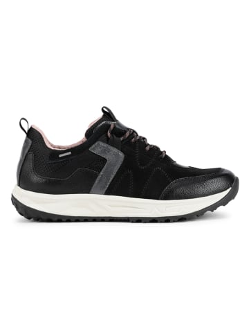 Geox Sneakers "Delray" in Schwarz