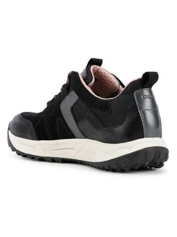 Geox Sneakers "Delray" in Schwarz