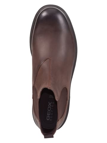 Geox Leder-Boots "Andalo" in Braun