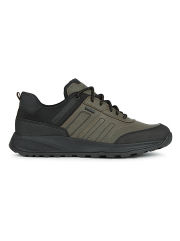 Geox Sneakers "Terrestre" olijfgroen/zwart