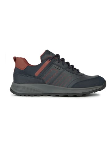 Geox Sneakers "Terrestre" in Blau/ Rot