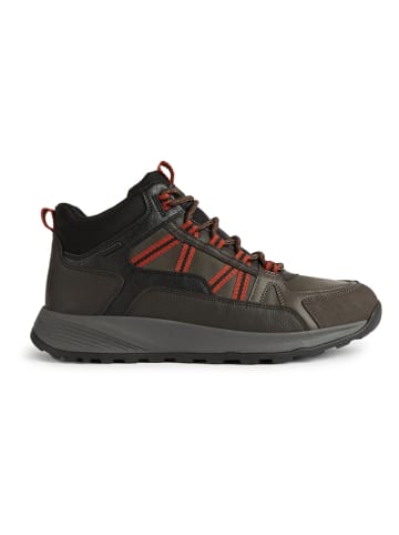 Geox Sneakers "Terrestre" bruin/zwart