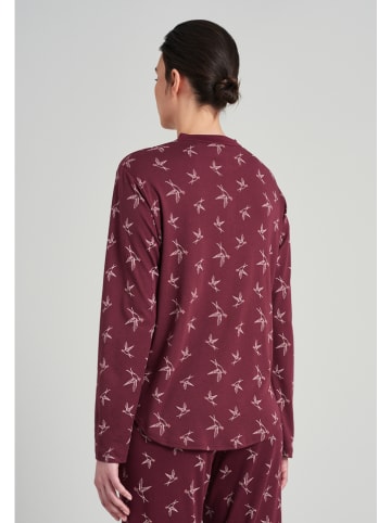 Schiesser Koszulka piżamowa w kolorze bordowym