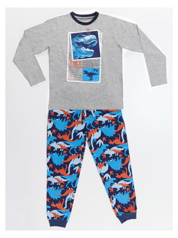 Denokids 2tlg. Outfit "T-rex Info" in Grau/ Blau