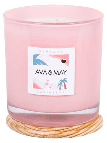 AVA & MAY Duftkerze "Bahamas" in Rosa - 500 g