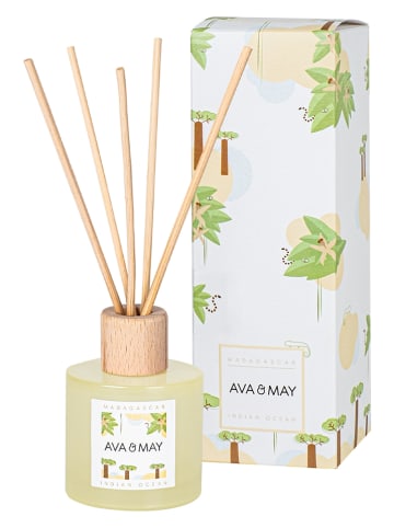 AVA & MAY Raumerfrischer "Madagaskar" in Grün - 100 ml